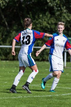 Bild 320 - B-Juniorinnen SVHU - Weststeinburg : Ergebnis: 15:0